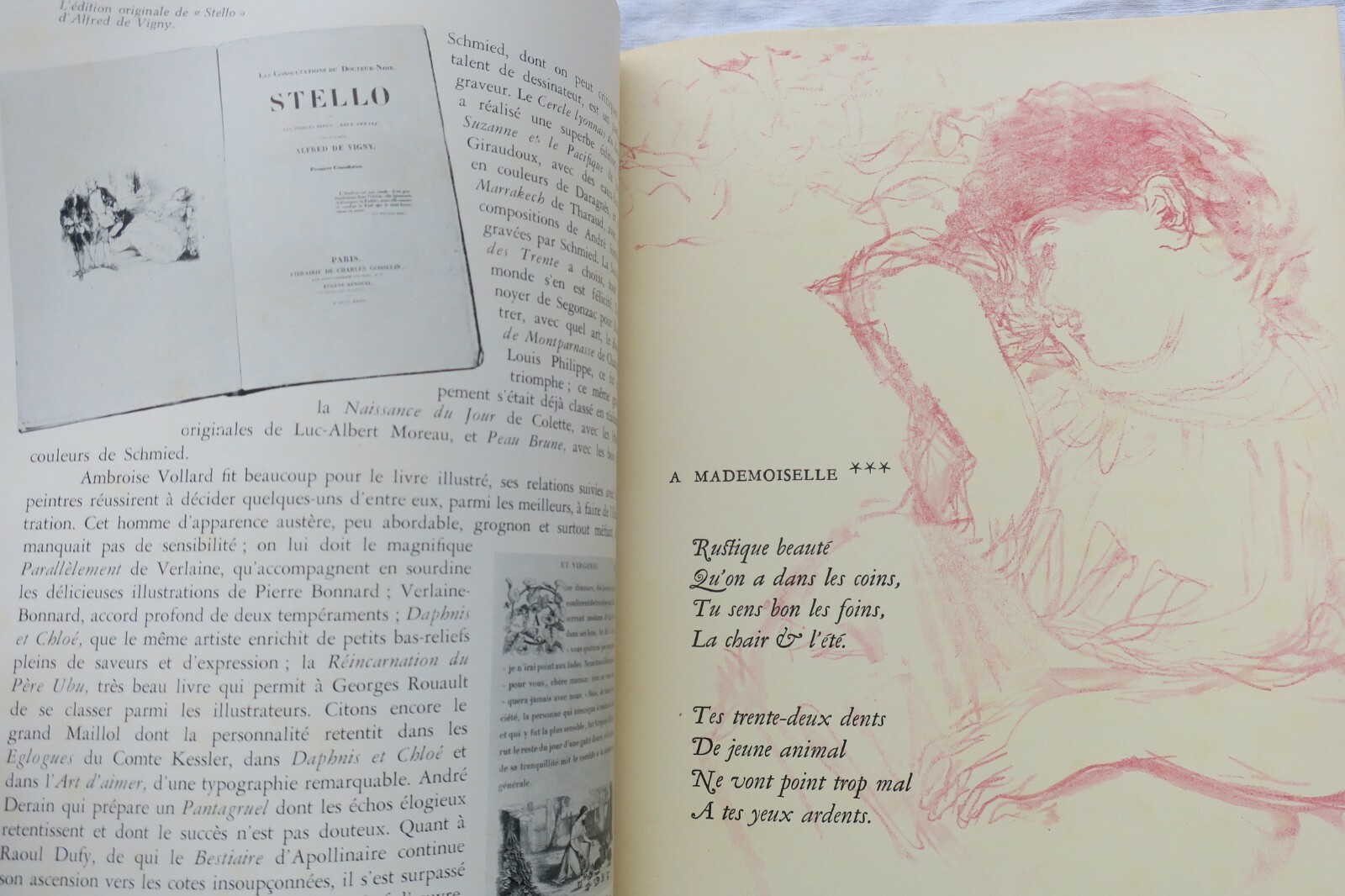 Bibliophilia Insights - Image 7