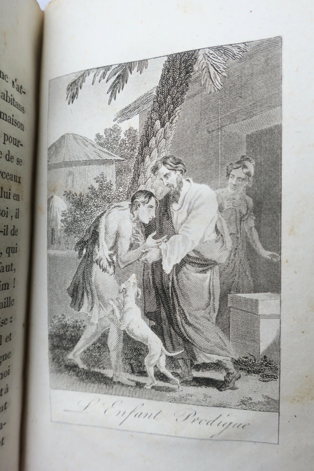 Family Instruction and Education Guides - Image 3