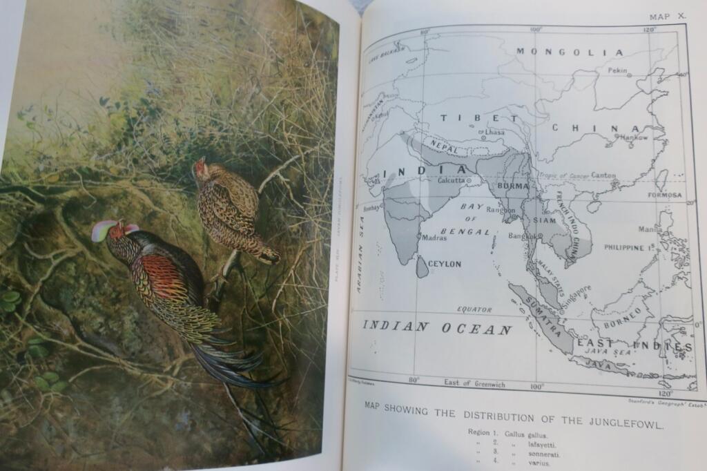 Detailed study of pheasants