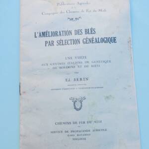 Blé L'amélioration des blés par sélection généalogique