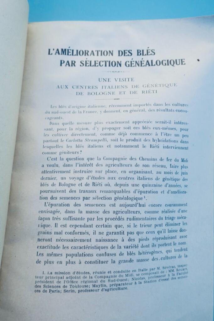Weizenverbesserung durch genealogische Selektion