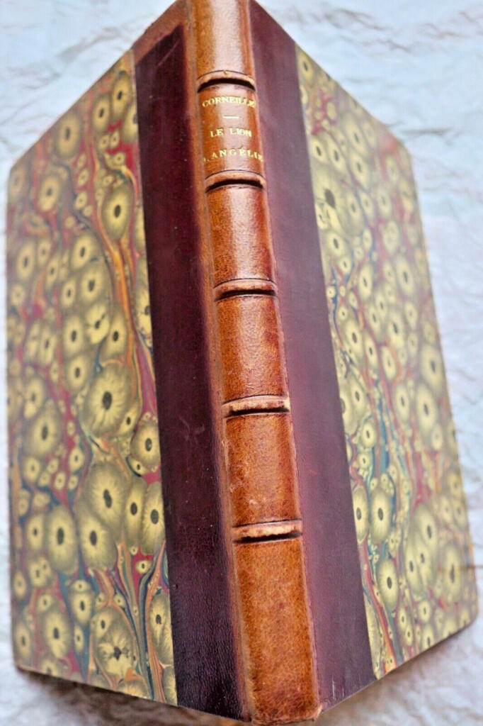 Historischer Roman mit kritischem Stilessay