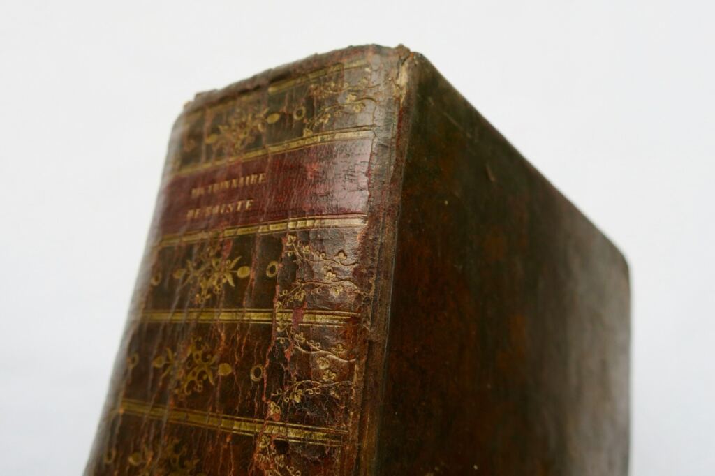 Comprehensive French-Latin Dictionary