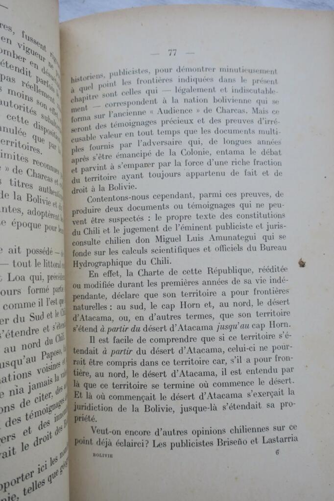 Bolivias Pazifische Diplomatie