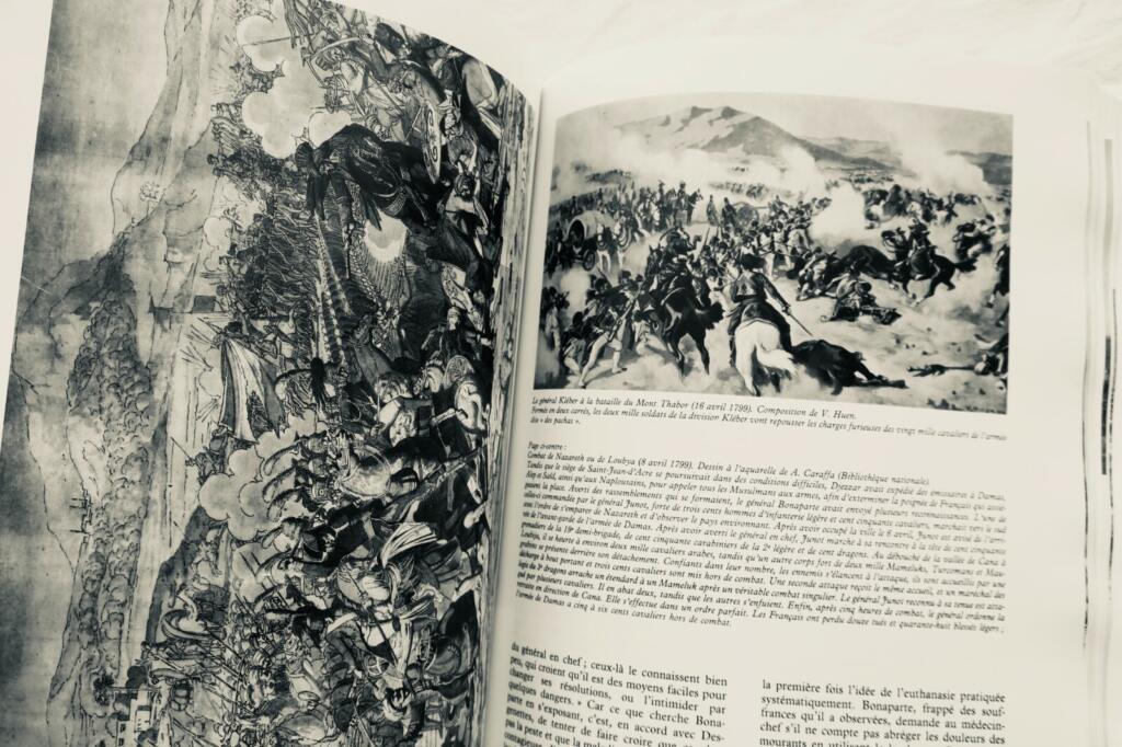 Bonaparte's Egyptian Campaign