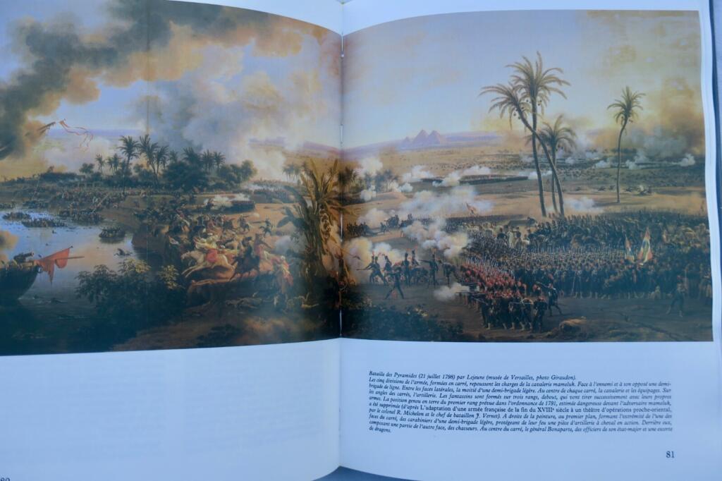 Bonaparte's Egyptian Campaign