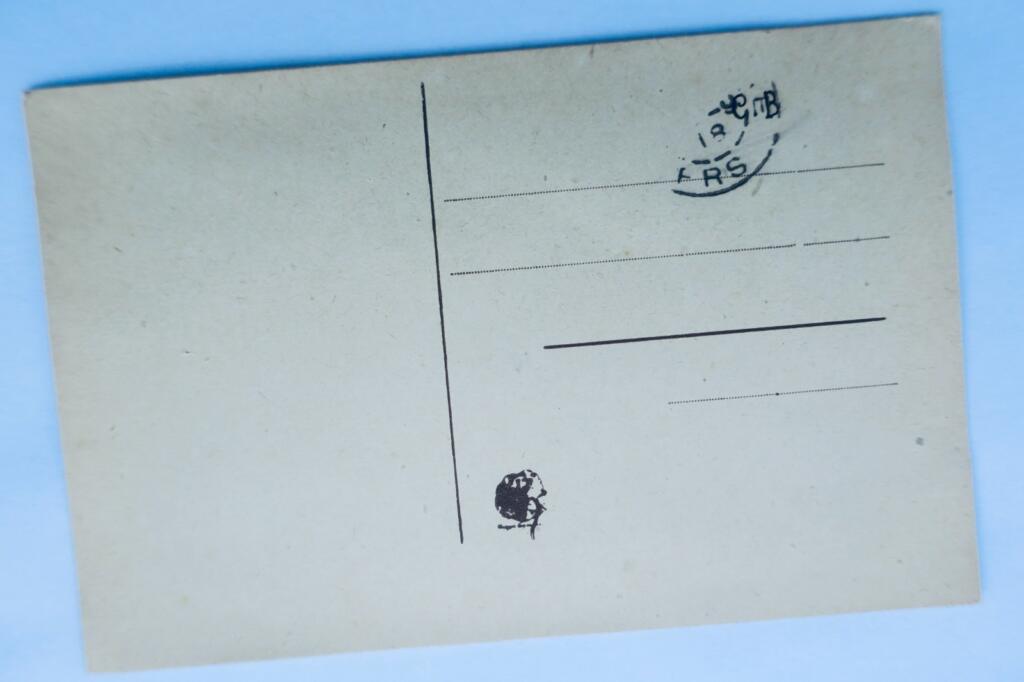 Handgestickte Blumen 1918