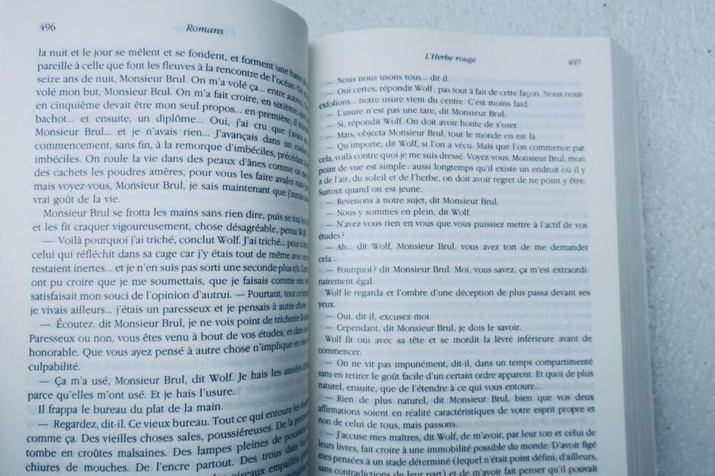 Collection of Boris Vian's Literary Works