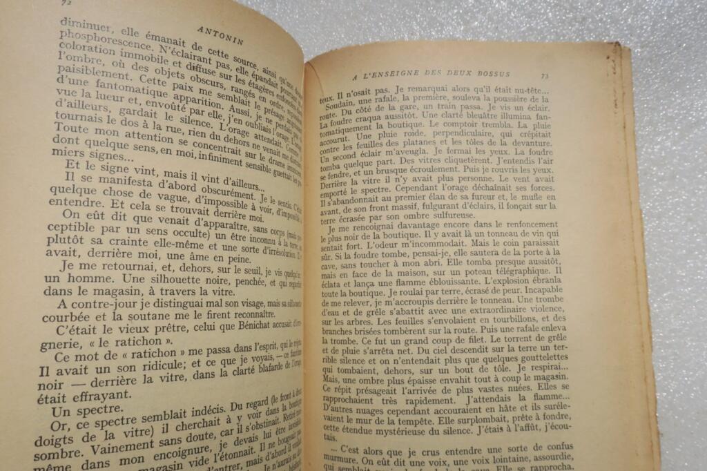 BOSCO HENRI ANTONIN EO GALLIMARD