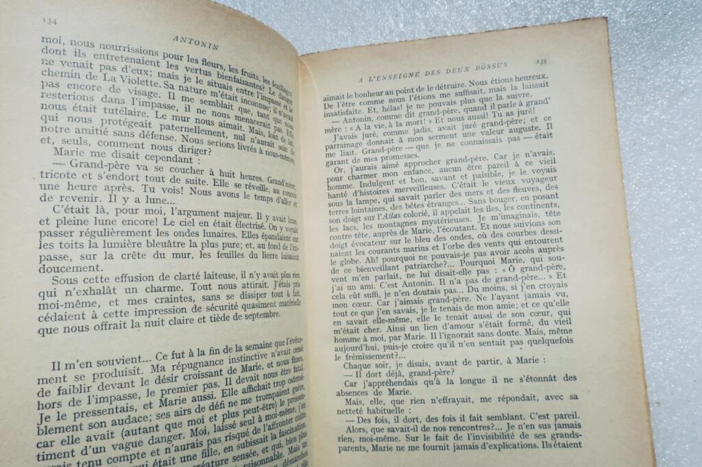 BOSCO HENRI ANTONIN EO GALLIMARD