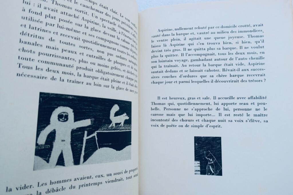 Polar dog adventures and illustrations