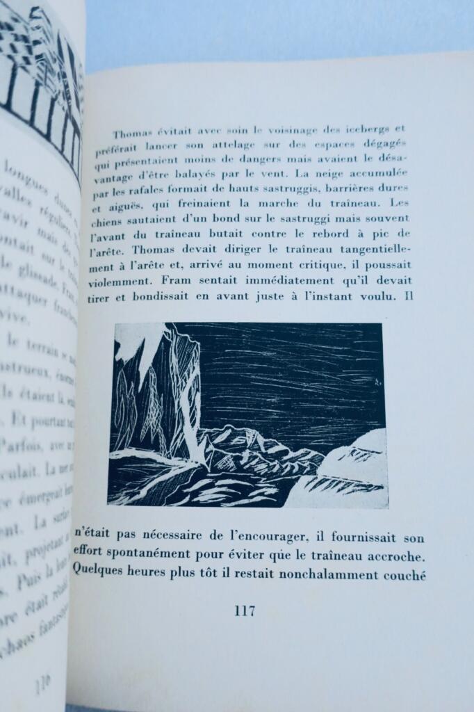 Polar dog adventures and illustrations