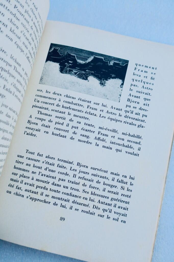 Polar dog adventures and illustrations