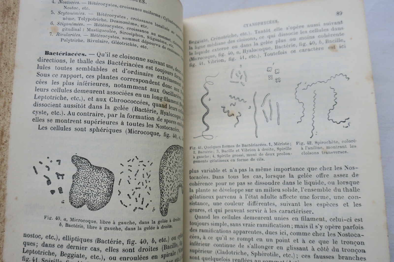 植物学の基礎と原理 - Image 8