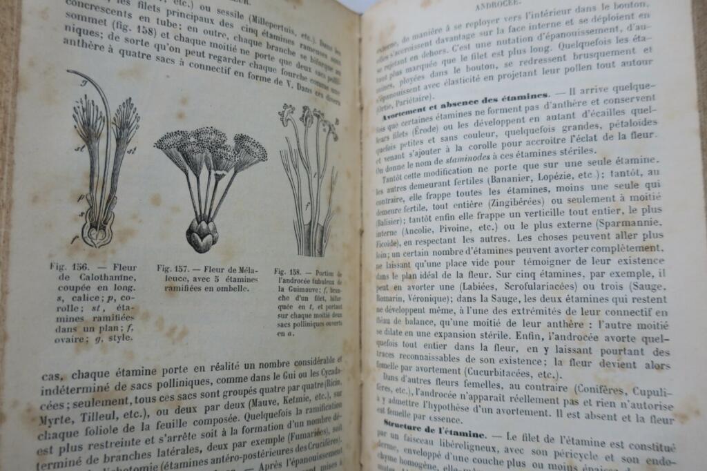 Botanique ELEMENTS DE BOTANIQUE 1891