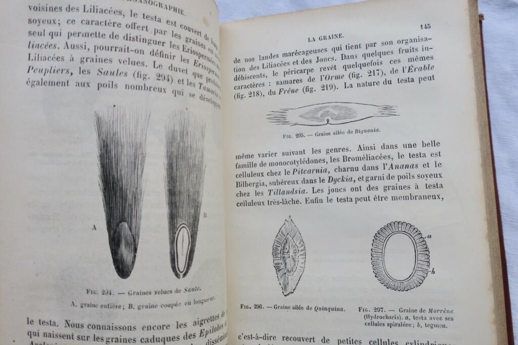 BOTANIQUE ORGANOGRAPHIE ET FAMILLE NATURELLES 1883