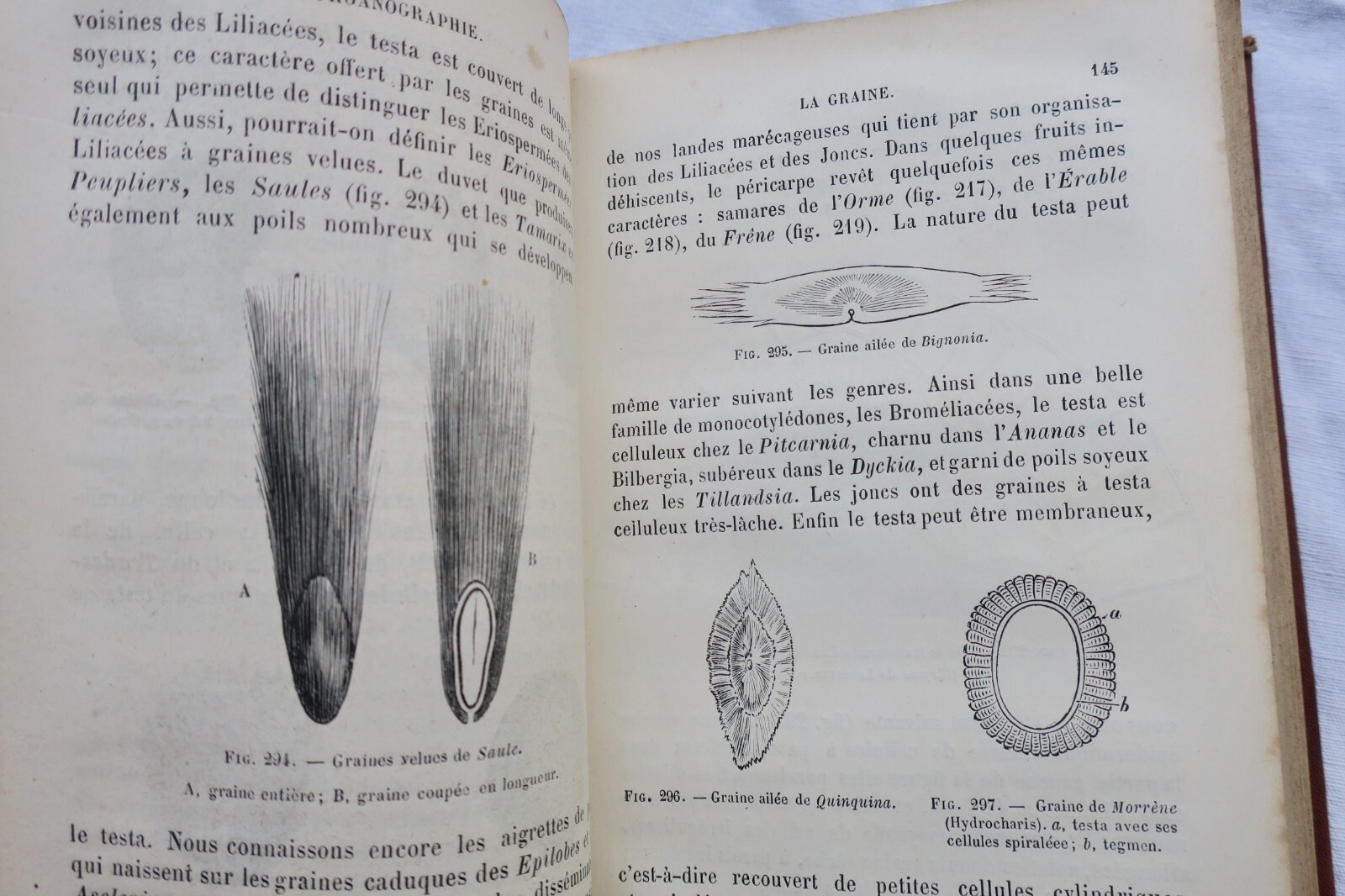 植物学：組織学と自然分類<span class="lla-card-orig-wrap"><span class="lla-card-orig">❦ BOTANIQUE ORGANOGRAPHIE ET FAMILLE NATURELLES 1883</span></span> - La Librairie Antique