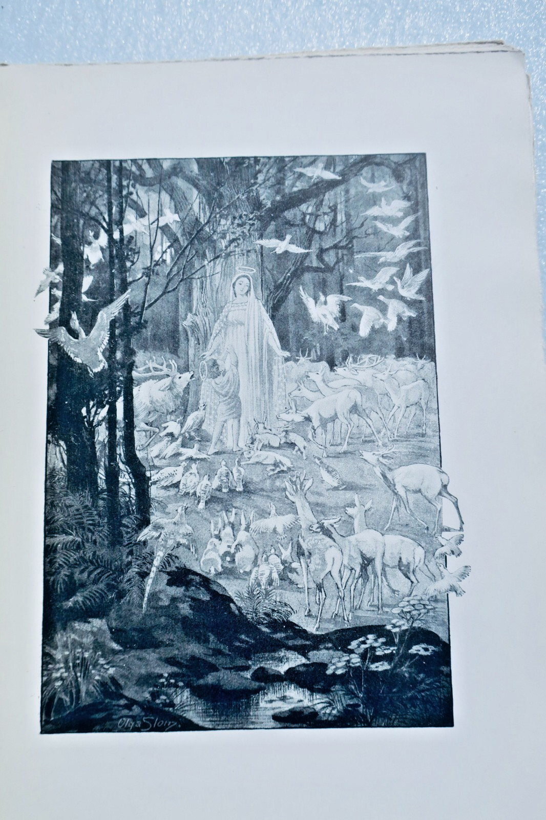 Boucher nouvelles et contes de bêtes Dessins de Slom – Image 4