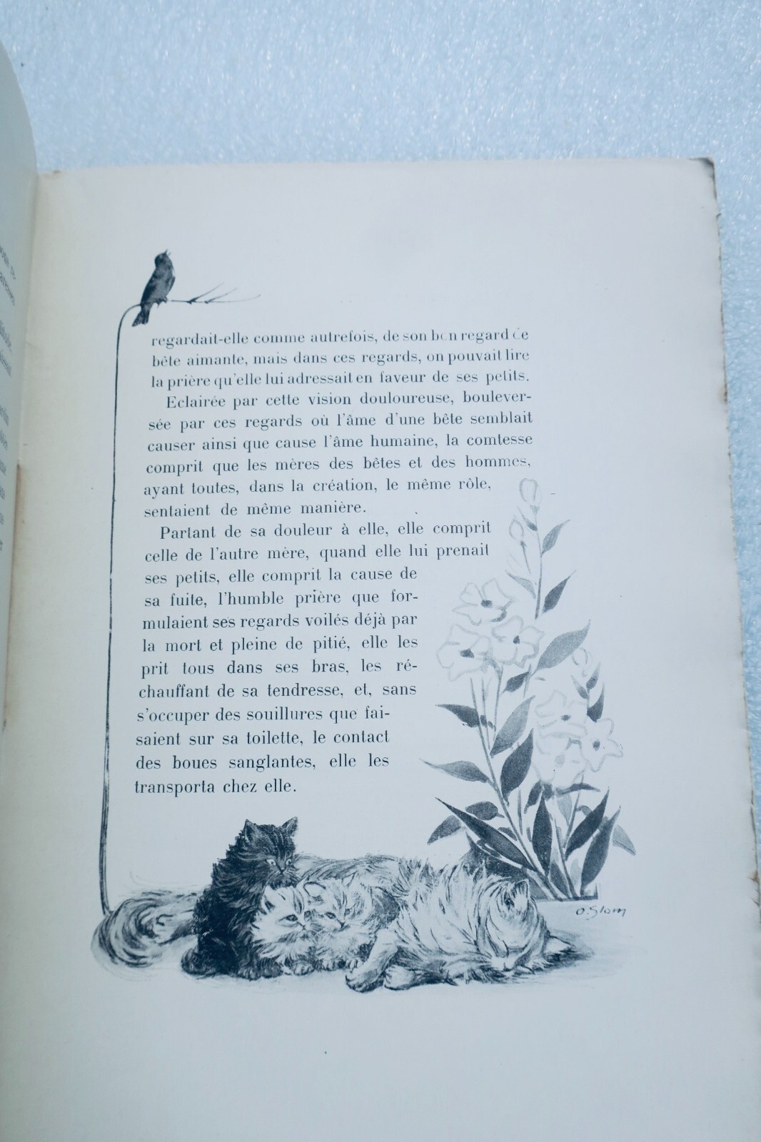 Boucher nouvelles et contes de bêtes Dessins de Slom – Image 2