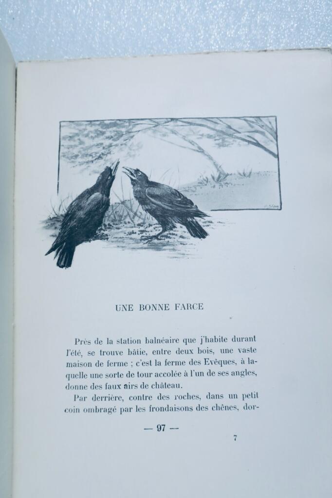 Geschichten und Märchen von Tieren