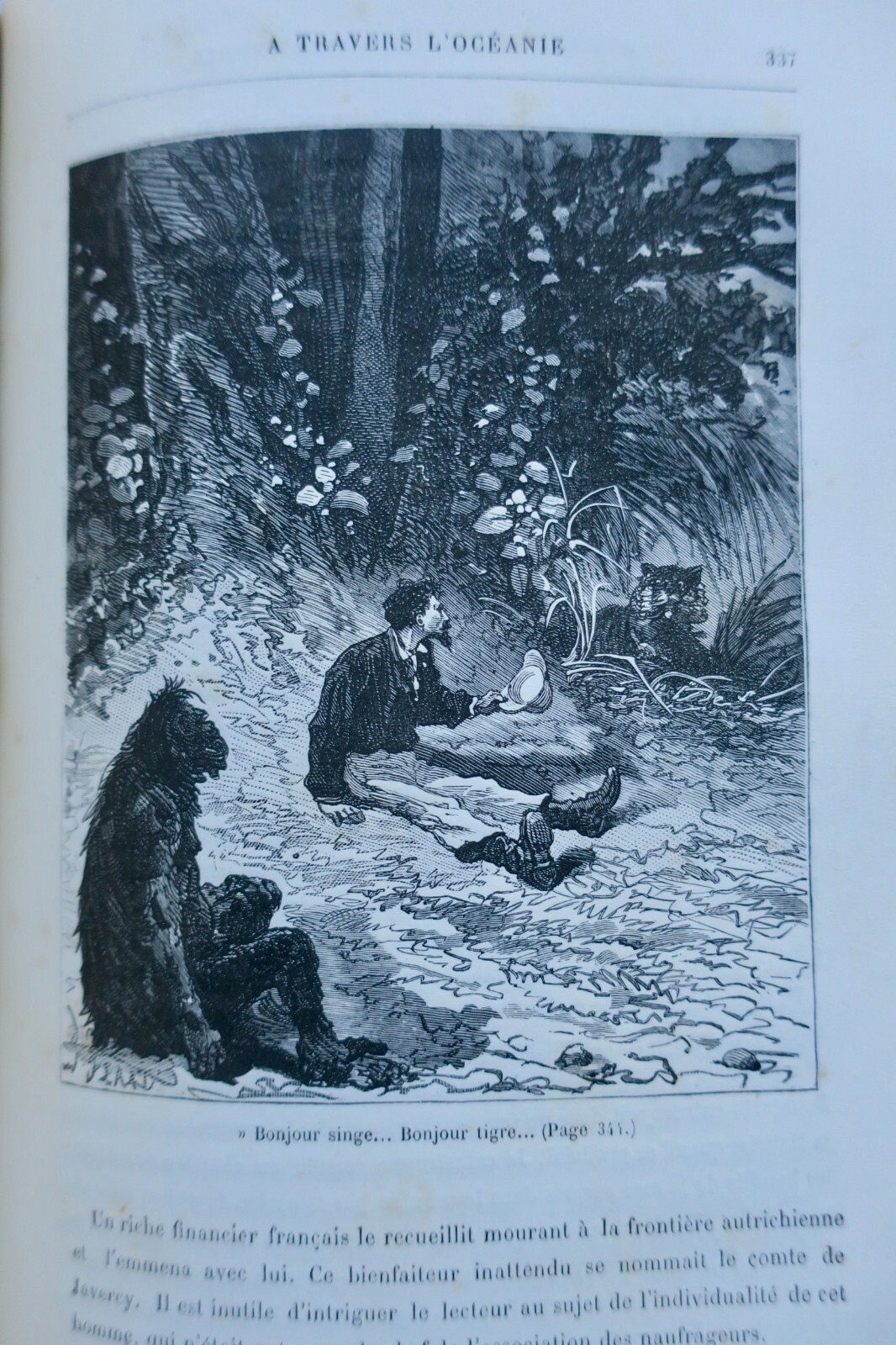 Abenteuer eines Pariser Jungen durch Ozeanien - Image 3