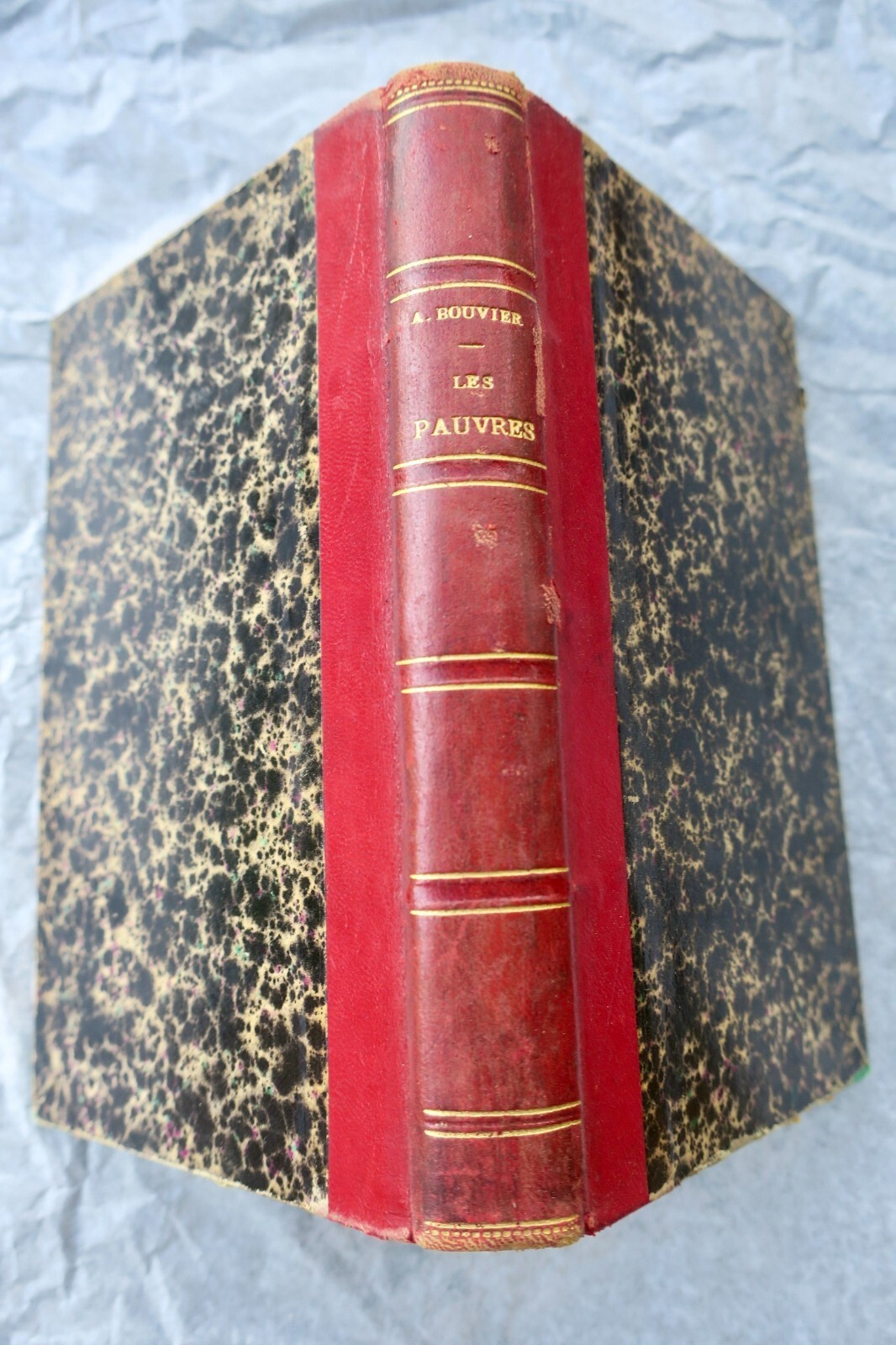 Alexis Bouvier’s 1883 novel on poverty - Image 6