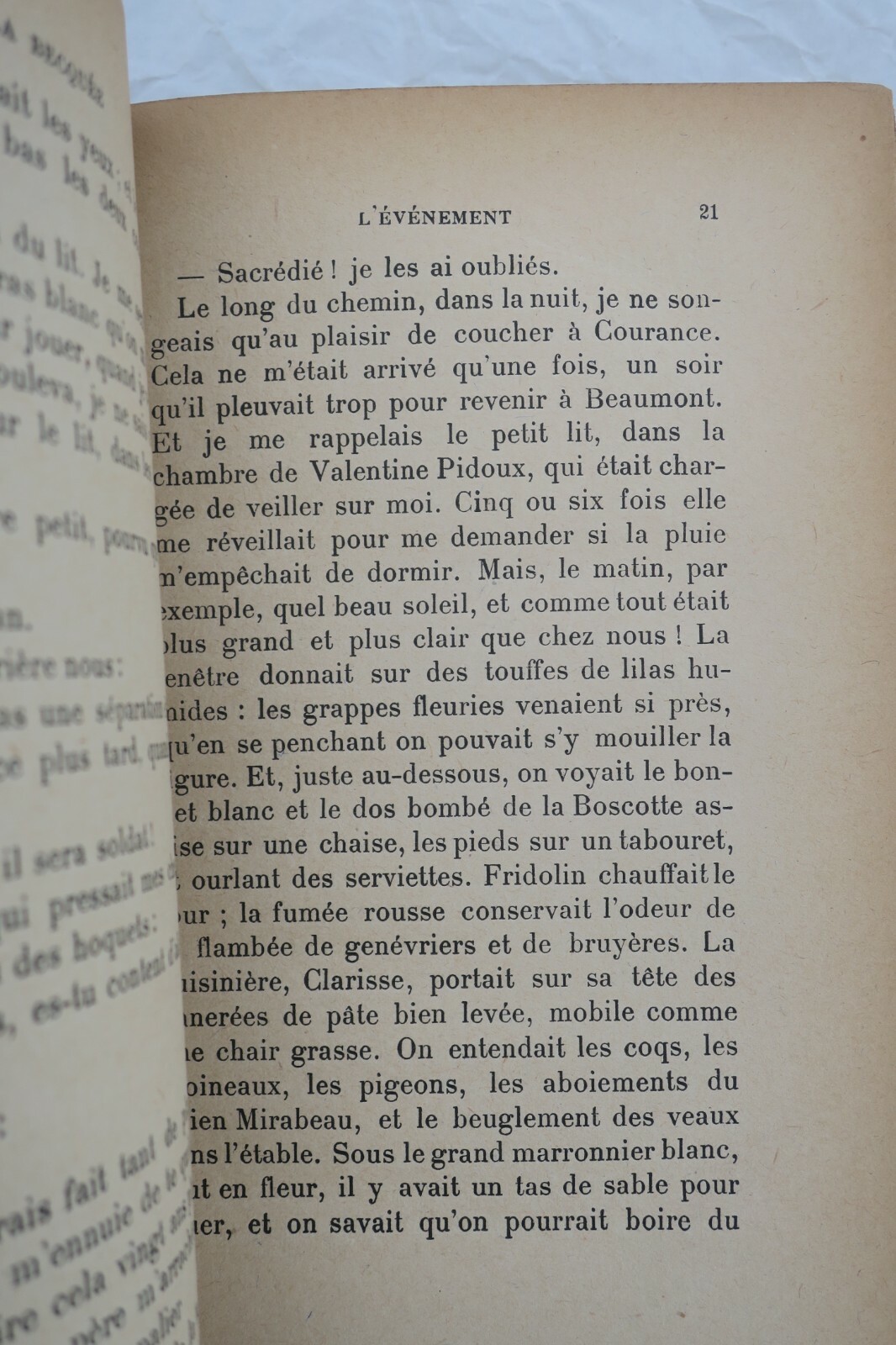 Zwei Romane von BOYLESVE: Gesellschaftskomödie und Häuslichkeit - Image 8