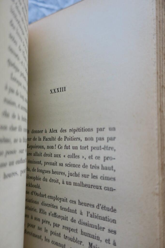 BOYLESVE René LE BEL AVENIR