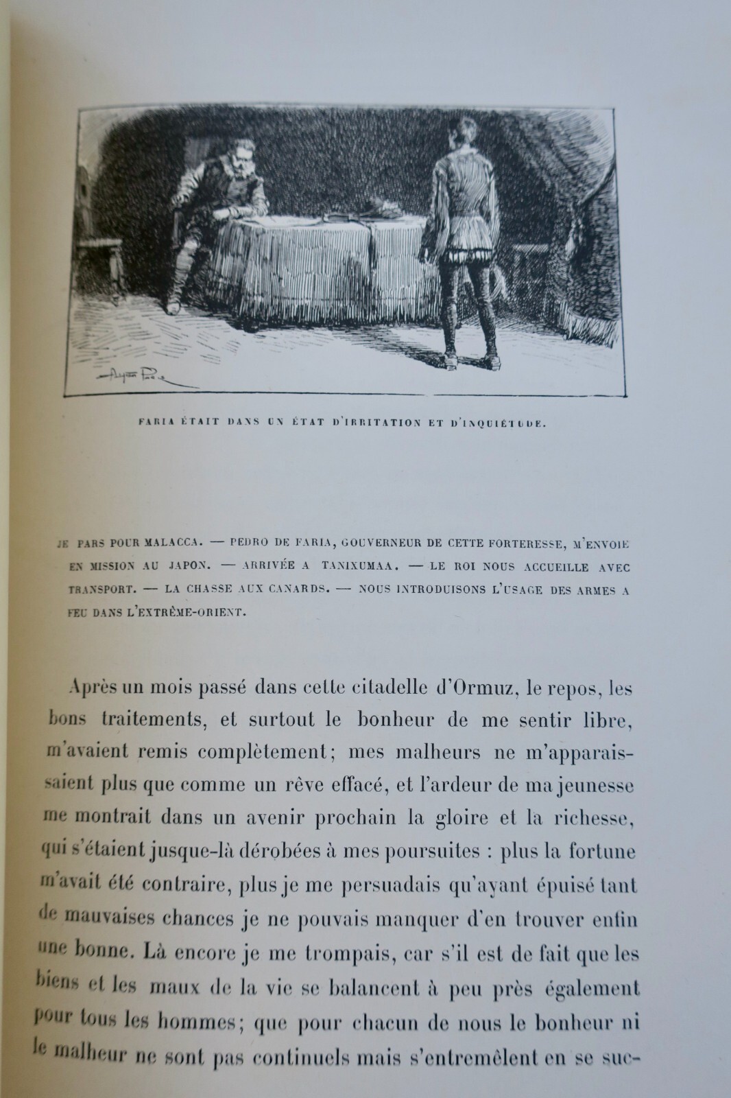 Bretagne Mouton Eugène (Mérinos) Aventures et mésaventures de Joël Kerbabu – Image 6
