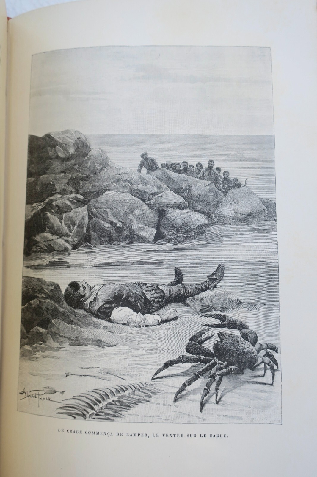 Bretagne Mouton Eugène (Mérinos) Aventures et mésaventures de Joël Kerbabu – Image 4