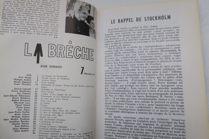 Der Riss: Surrealistische Aktion - Image 20
