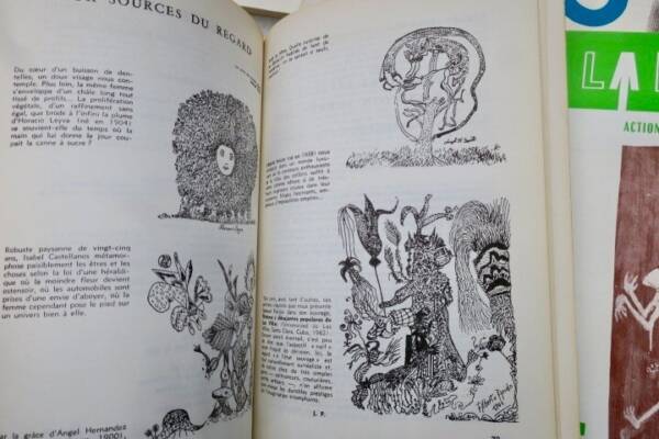 Surrealistische Zeitschriftensammlung