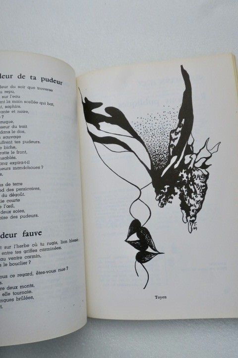 Der Riss: Surrealistische Aktion - Image 18