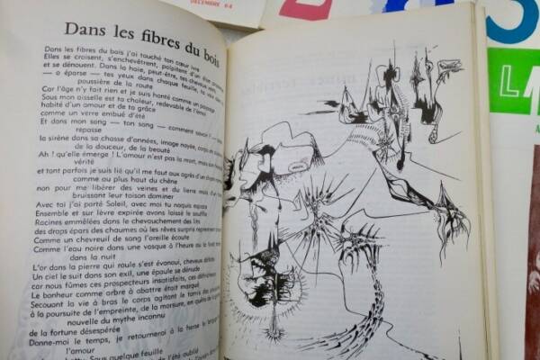 Surrealistische Zeitschriftensammlung