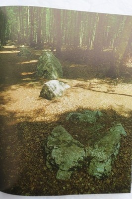 Brittany Secret Places & Stories Of Brittany – Image 19