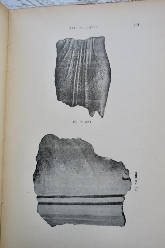 Katalog der Bronzefunde von der Akropolis