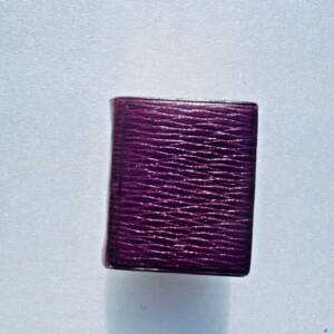 Bryce's Thumb English Dictionary (Miniature)