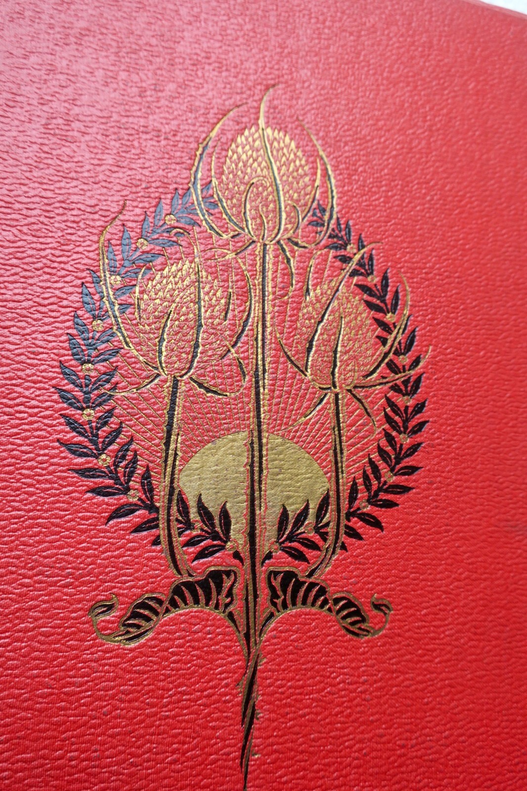 十七世纪诺曼底的见习军官 - Image 8
