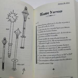 Cahier d'armes d'un mestre de guerre (V ème-XV ème siècle)