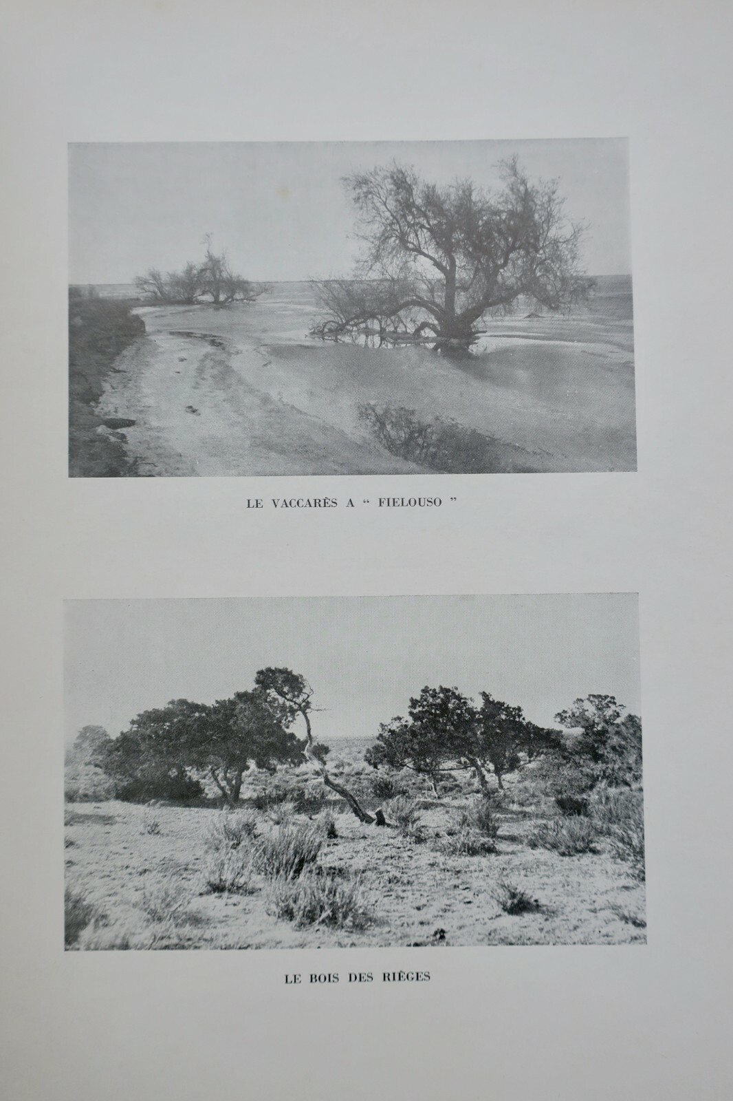 Exploring the Camargue Heritage - Image 9