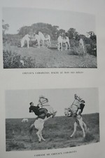 CAMARGUE GARDIANE 1938 – Image 6