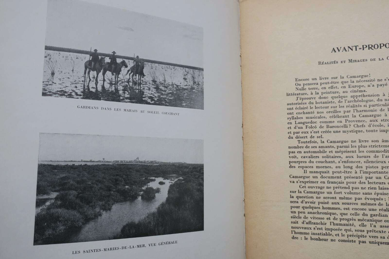 Exploring the Camargue Heritage - Image 10