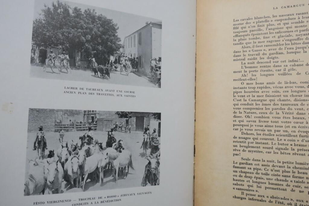 Camargue Horsemen: Culture & Traditions 1938