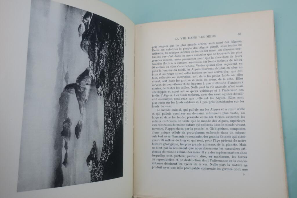 Meere und Ozeane: Geografische und wissenschaftliche Studie