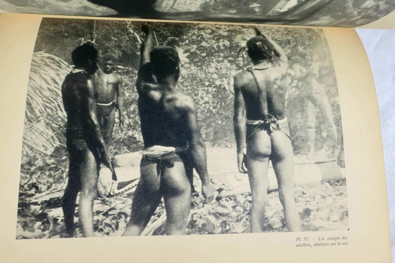 Erforschung des Kannibalismus - Image 8