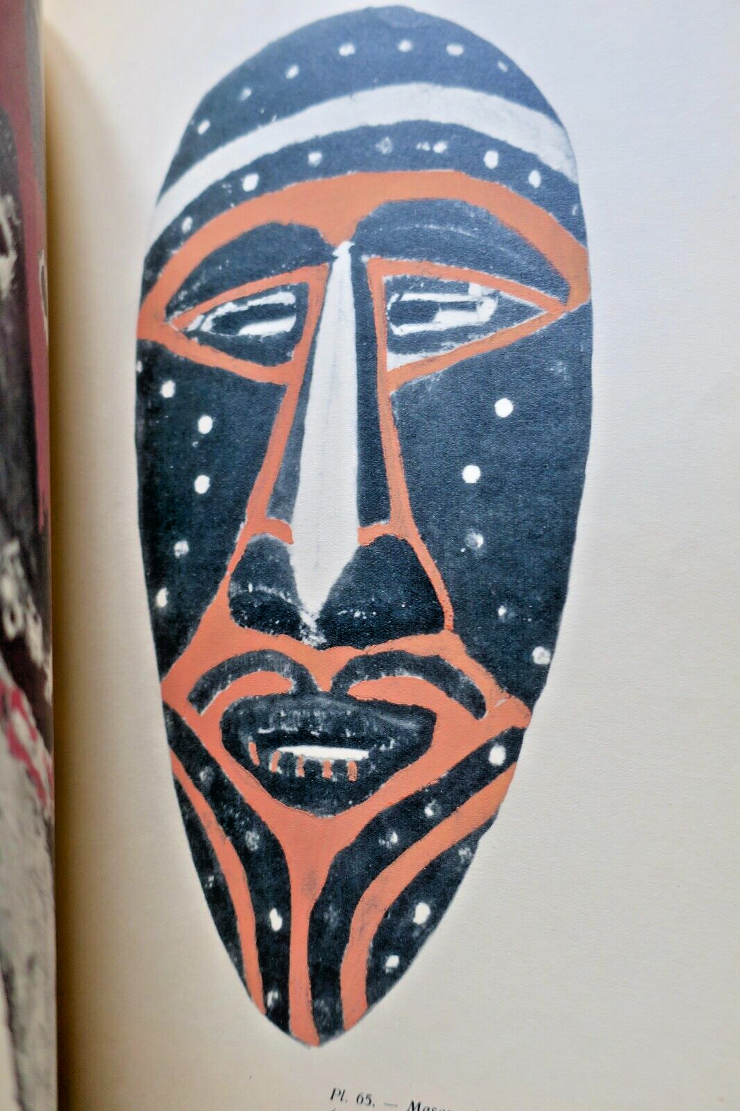Erforschung des Kannibalismus - Image 14