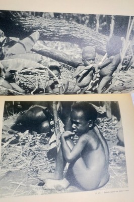 Cannibals At The Man Eaters (New Hebrides) – Image 20