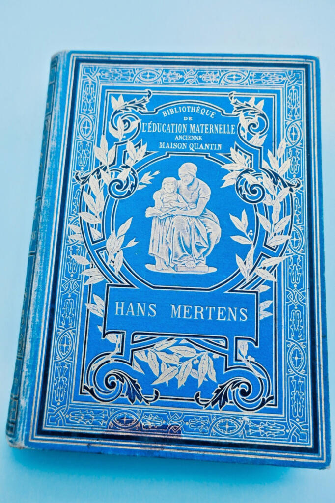 Hans Mertens - Adventure Novel