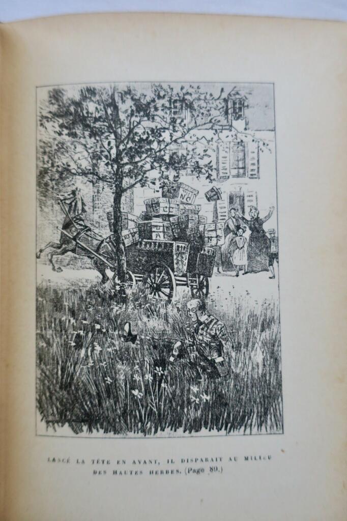 Illustrated children's education volume