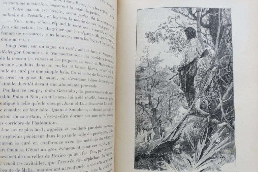 cartonnage BIART LA VALLEE DES COLIBRIS 1896